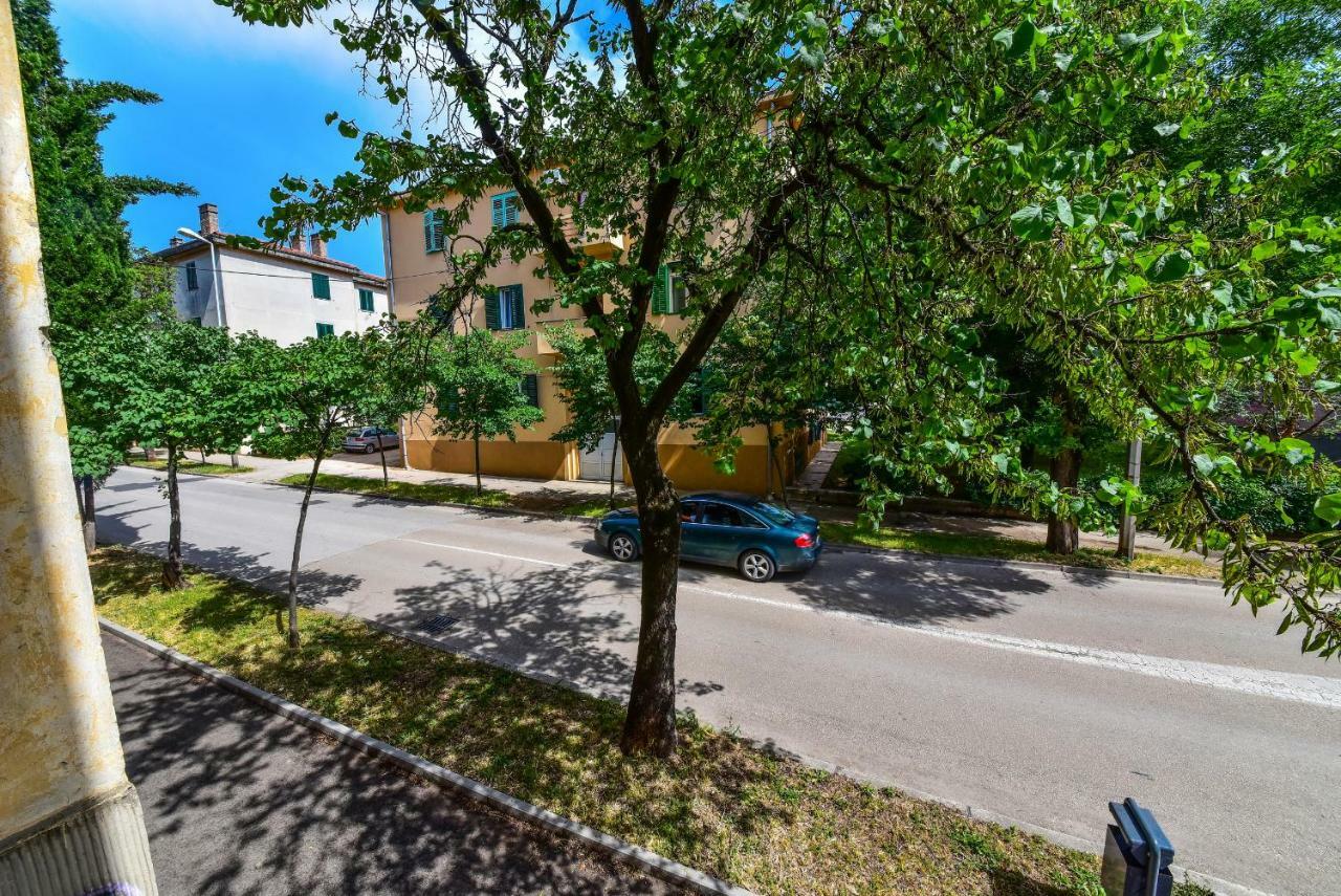 Apartment Viola Zadar Exterior photo